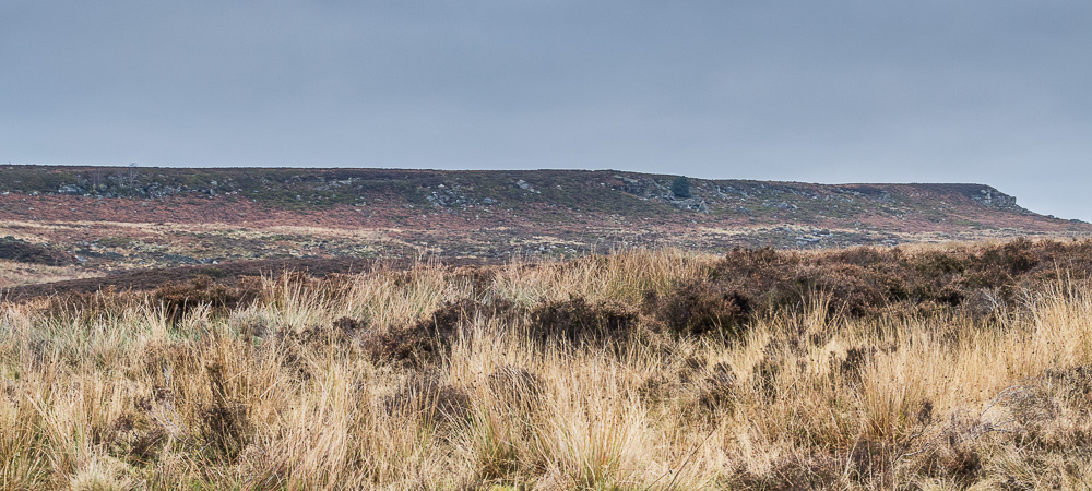 Harland Edge